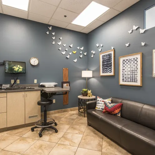 Hillside Animal Hospital Exam Room is very welcoming.  It has a leather couch with two throw pillows, artwork on the wall and the doctors desk area to check you in.